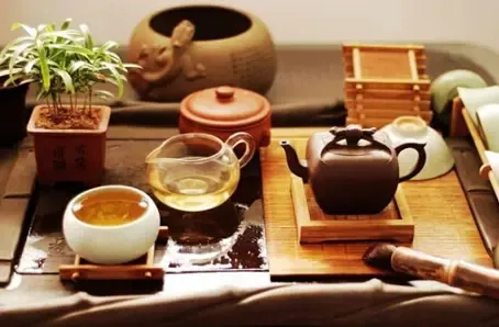 茶犬日记：喝茶带来的神奇功效